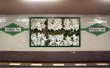 Lilien Potsdamer Platz
